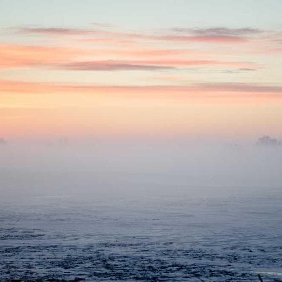 Local Business Presence